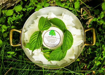 Grandma Fannie’s Lip Balms